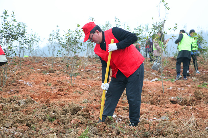 2019.3.5植树节 070_副本.jpg