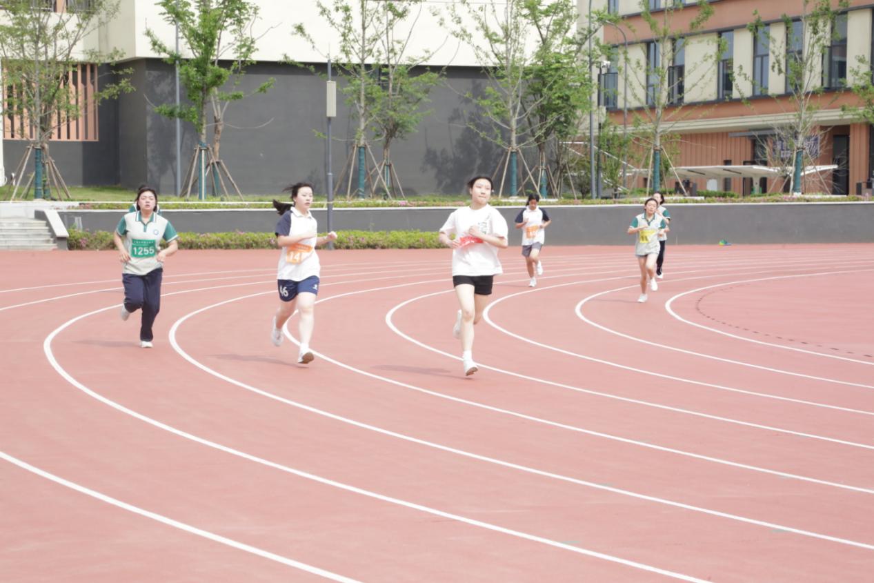 3ac4b15f7a1552129d997e9f50741f8