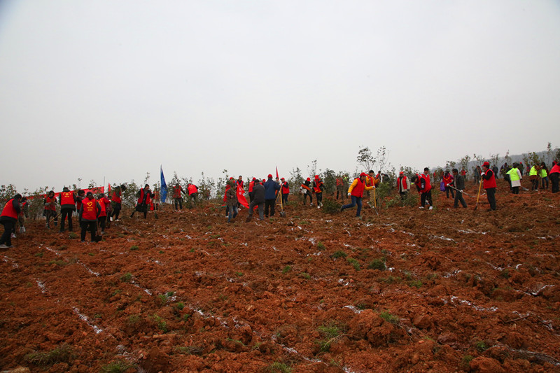 2019.3.5植树节 075_副本.jpg