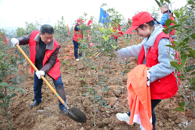 2019.3.5植树节 094_副本.jpg