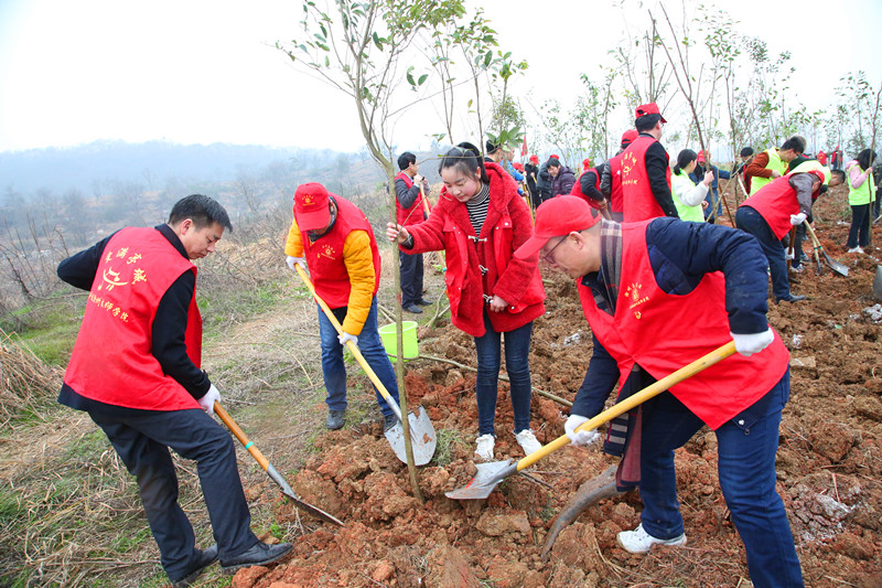 2019.3.5植树节 140_副本.jpg