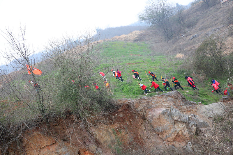 2019.3.5植树节 019_副本.jpg