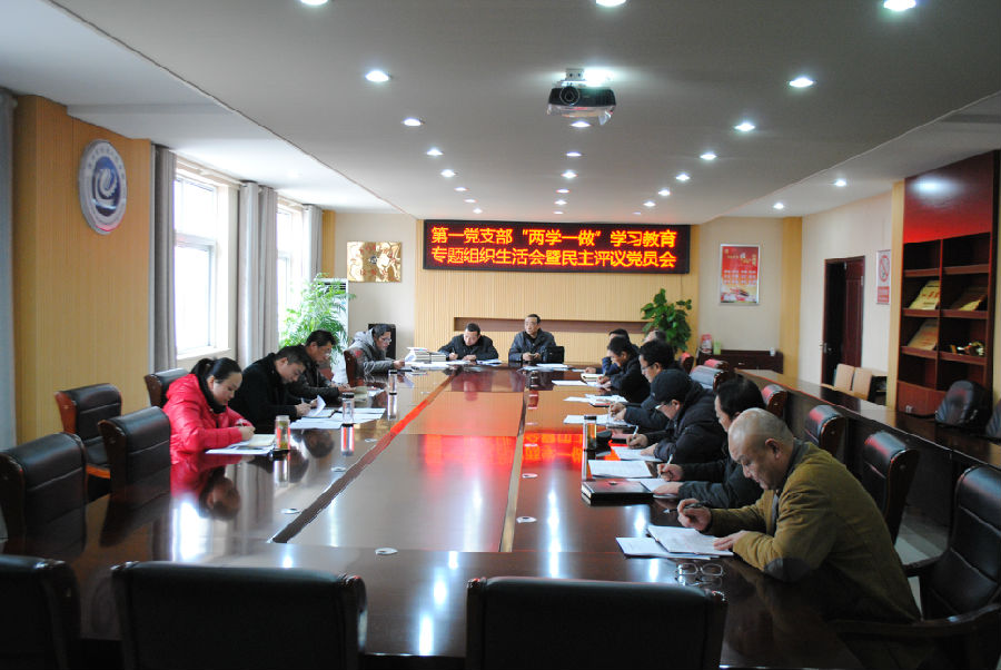 2017.1.17党支部会议 006.JPG