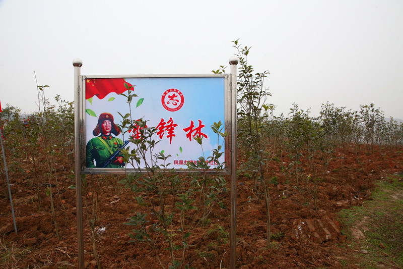 2019.3.5植树节 164_副本.jpg