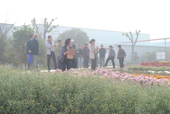 201599重阳 006.JPG